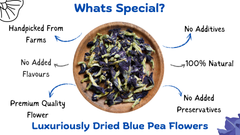 The Blue & Gold Detox Duo (30 Days Pack)